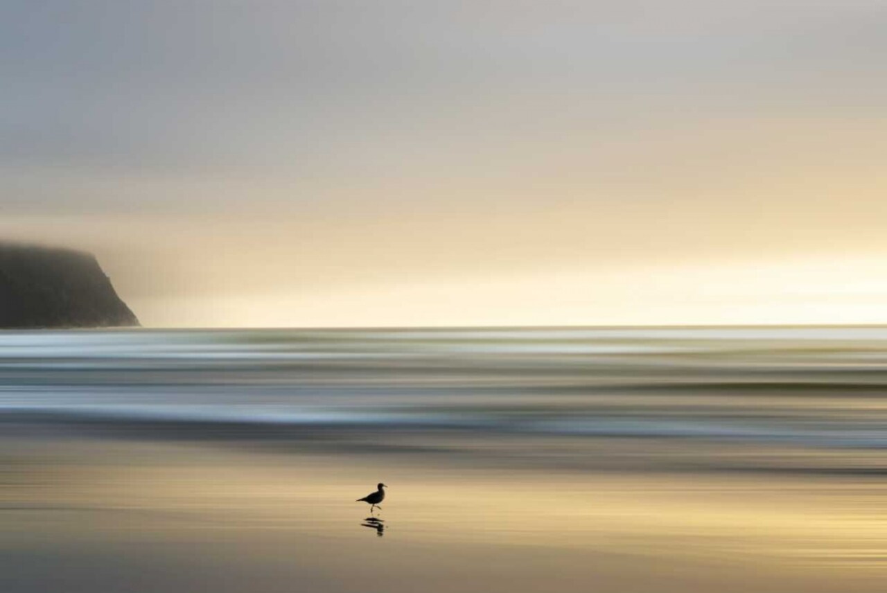 Morning Visit Poster Print by Marvin Pelkey - Item # VARPDX16244